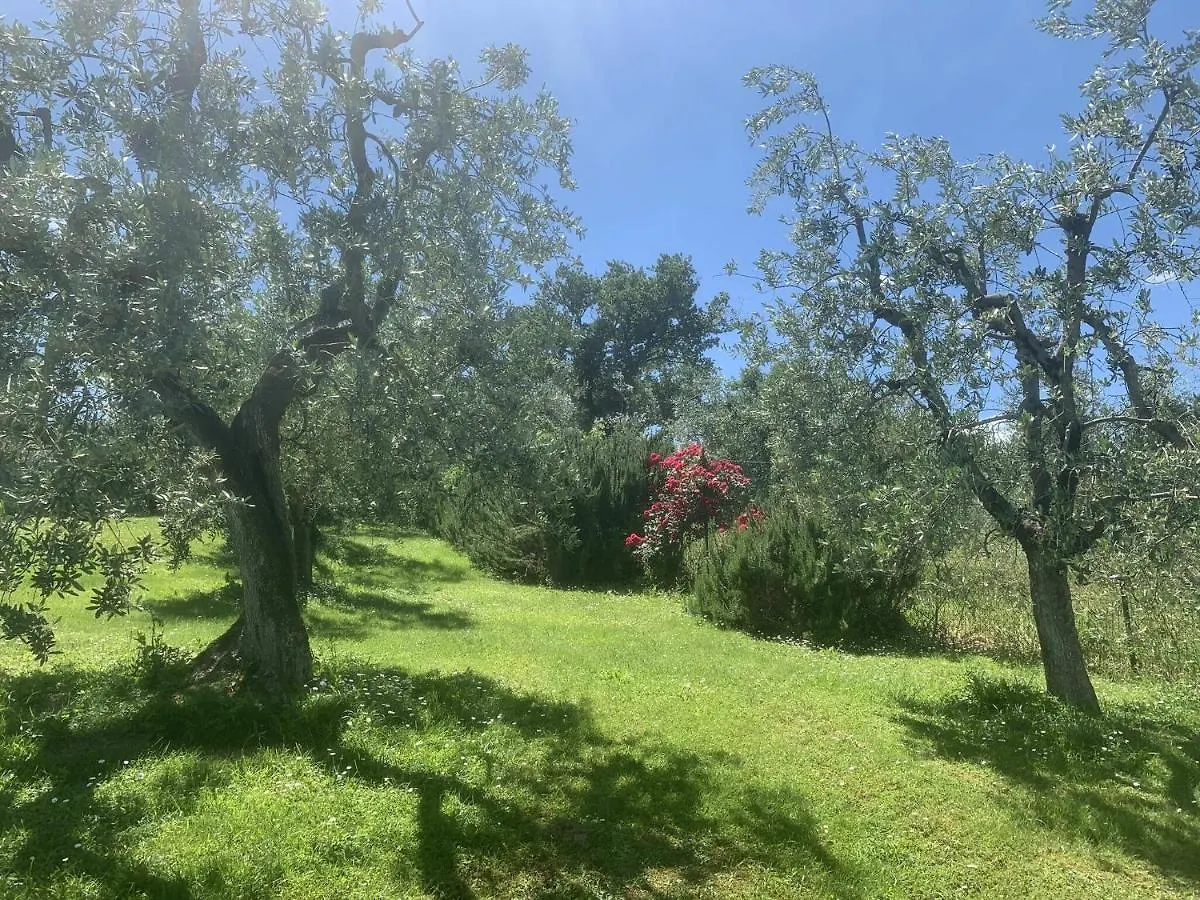 San Lorenzo Monte San Savino 0*,