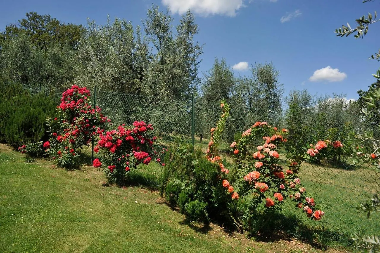 San Lorenzo Monte San Savino Villa